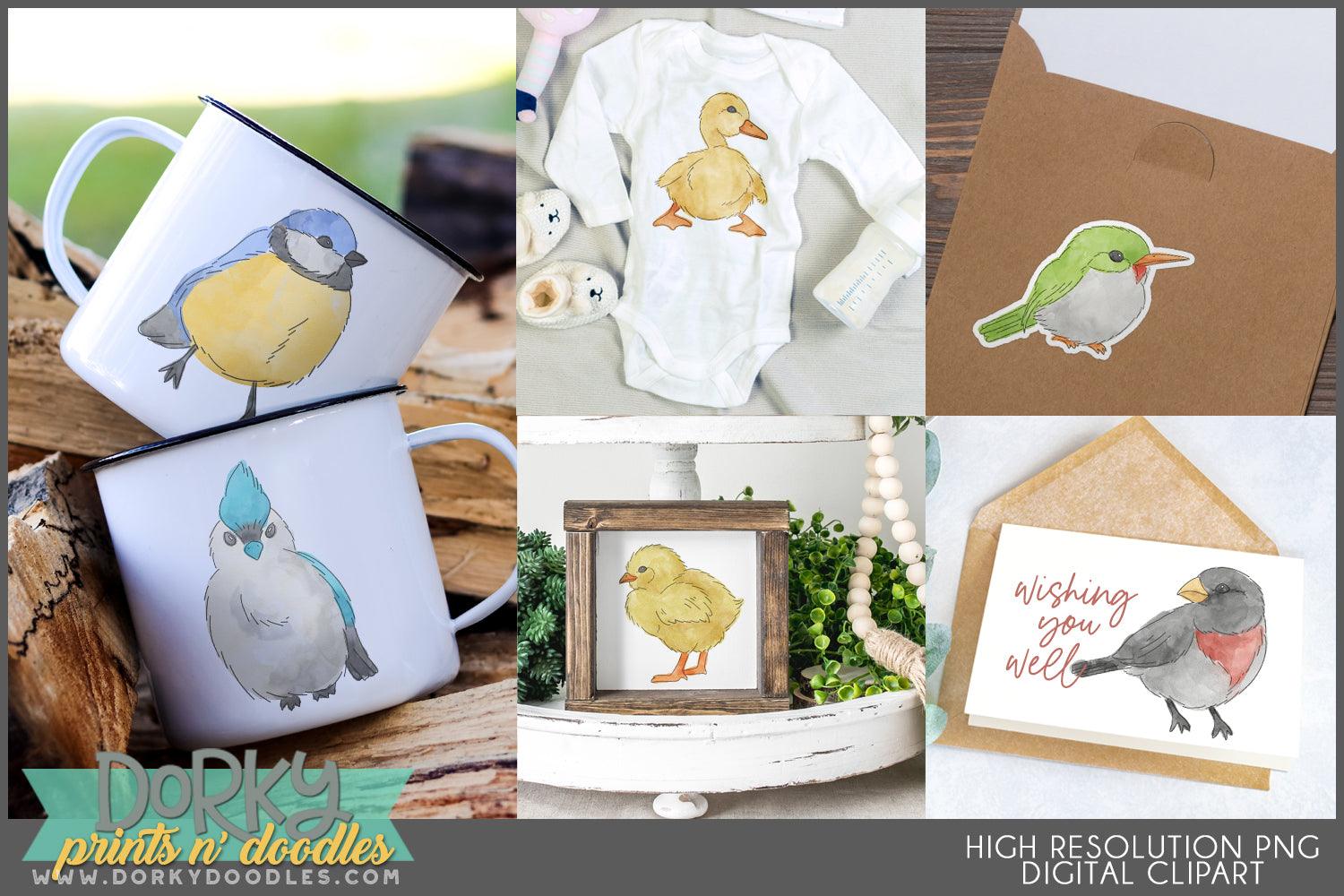 Realistic Bird Animals Clipart