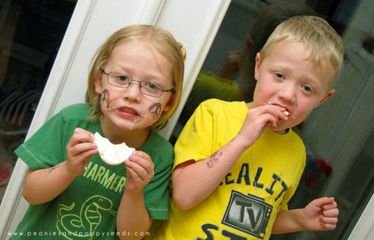 Creepy Crawly Cookie Fail - Dorky Doodles