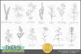 Hand Drawn Herb Clipart - Dorky Doodles