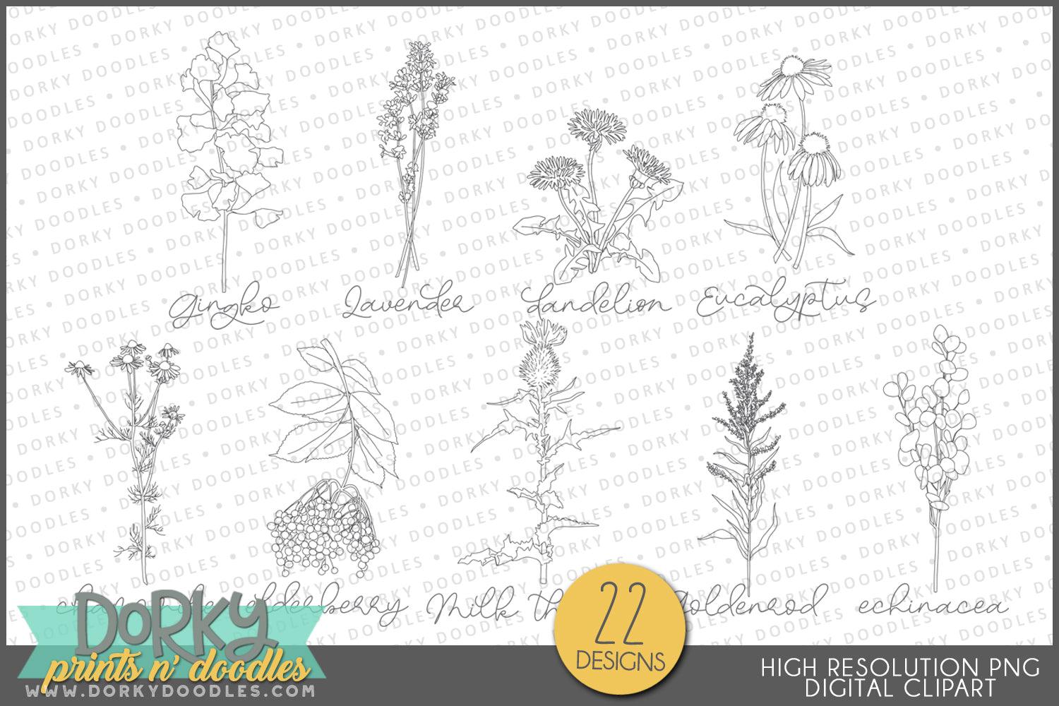 Hand Drawn Herb Clipart - Dorky Doodles