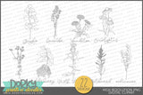 Hand Drawn Herb Clipart - Dorky Doodles
