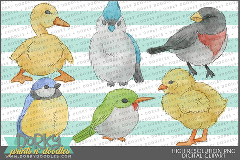 Realistic Bird Animals Clipart